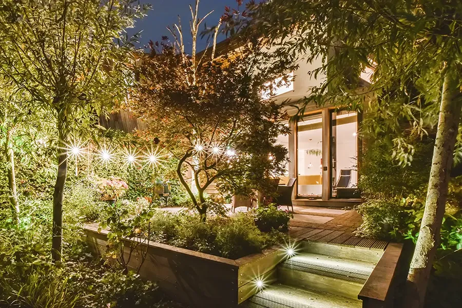 Back garden with mature shrubs and trees lit up with garden lighting.