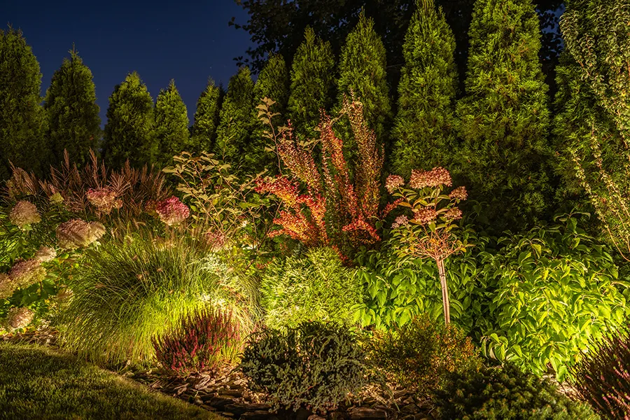 Back garden illuminated by modern LED lighting system within borders.