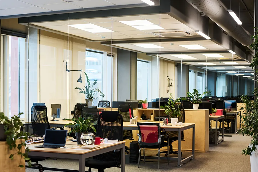 Open plan office with desks, chairs and ceiling tiles with LED lighting.
